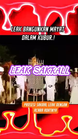 t33n leak 5.
